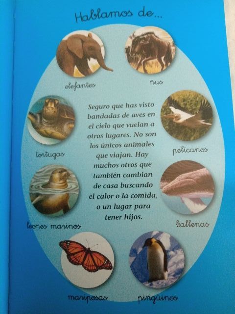 LIBRO ANIMALES SUSAETA