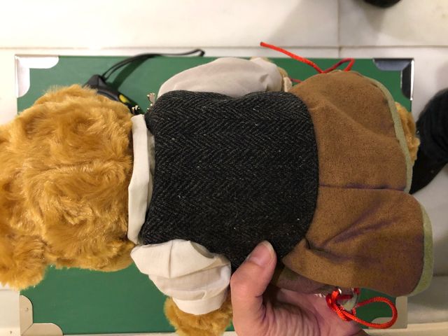 Oso de peluche nuevo.