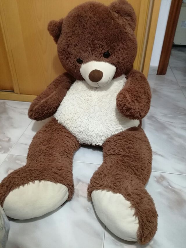 oso gigante