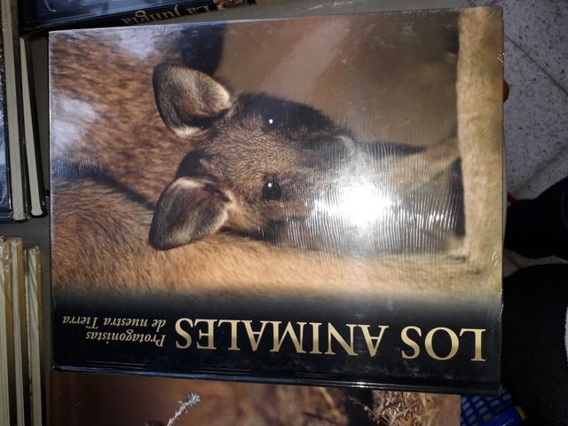 enciclopedia de los animales