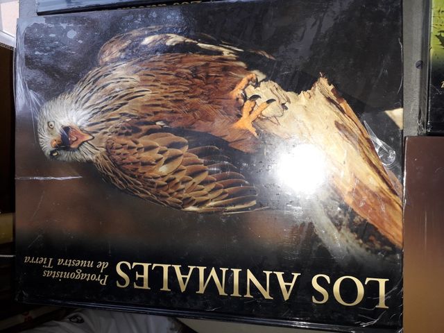 enciclopedia de los animales