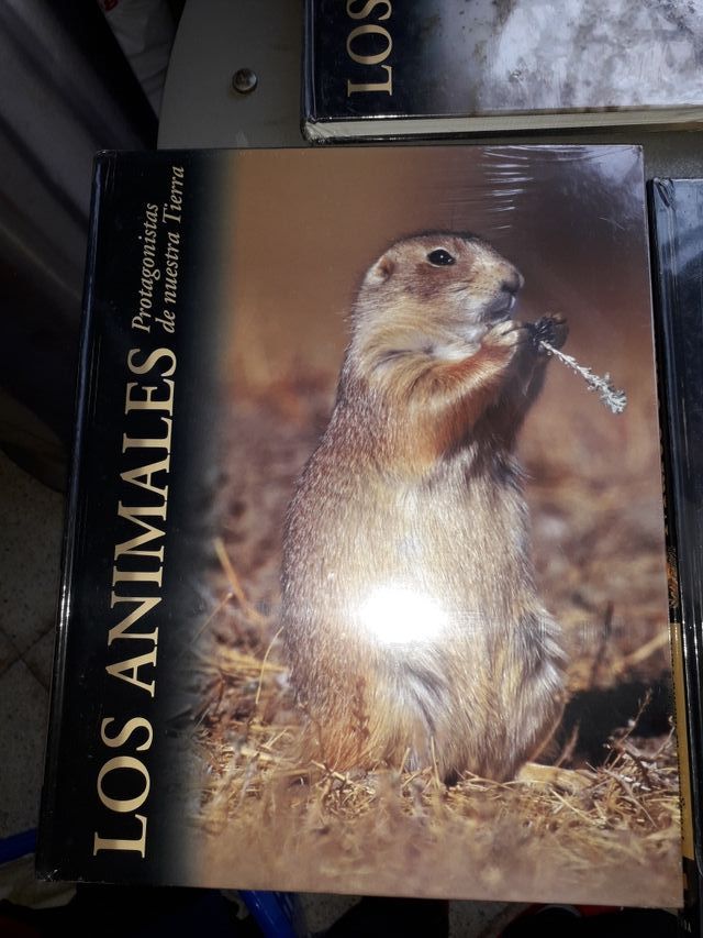 enciclopedia de los animales