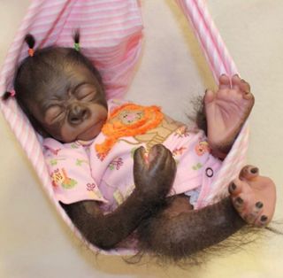 chimpance reborn