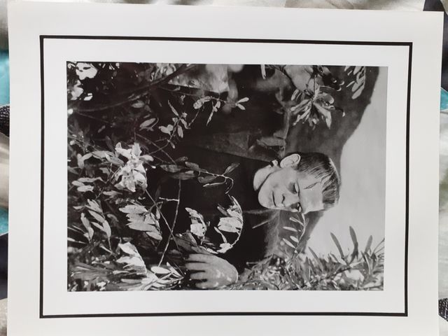 Colección de fotos clásicos del terror