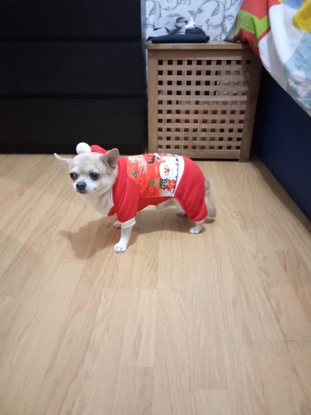 2 TRAJES DE PAPA NOEL