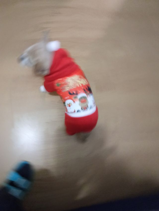 2 TRAJES DE PAPA NOEL