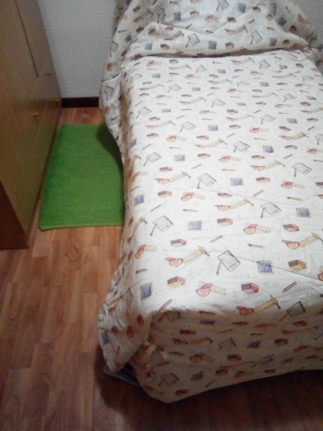 PIUMINO DISEGNI SCOLASTICI