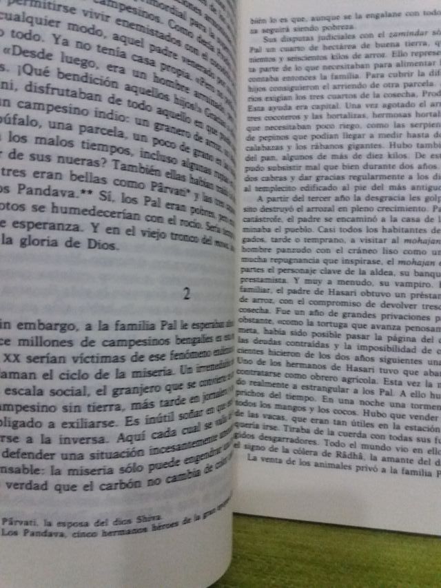 LA  CIUDAD  DE  LA  ALEGRÍA