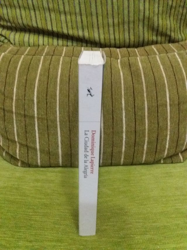 LA  CIUDAD  DE  LA  ALEGRÍA