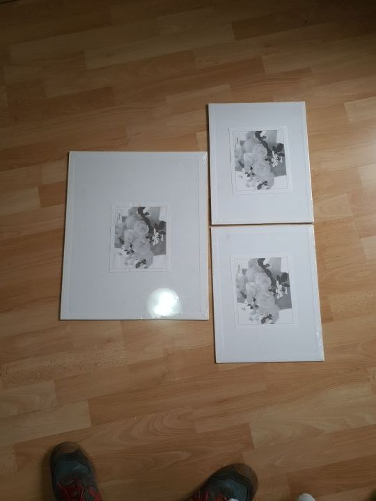 Láminas precintadas para pintura