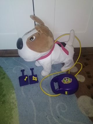 perrito andarin