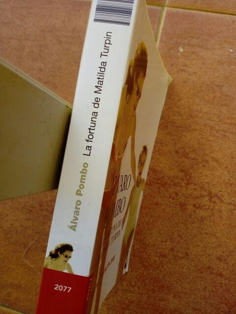 La fortuna de Matilde Turquin