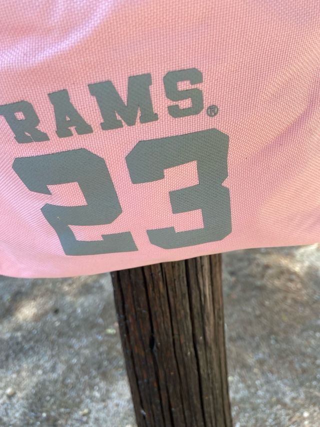 BOLSO BANDOLERA DE RAMS