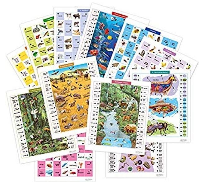 juego nuevo de animales del mundo