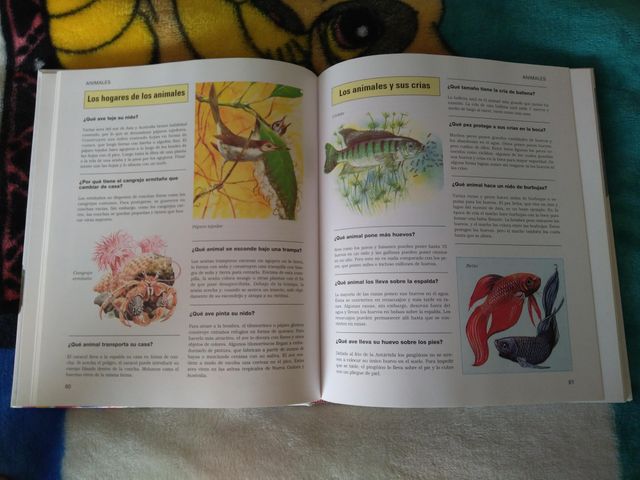 Libro: 1000 Preguntas y respuestas