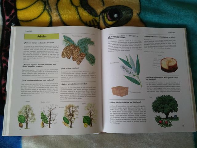 Libro: 1000 Preguntas y respuestas