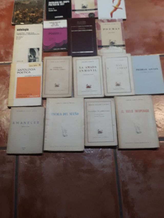 ANTOLOGIA POETICA VARIOS LIBROS