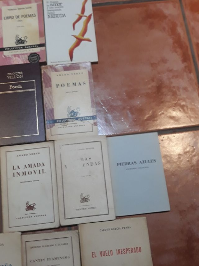 ANTOLOGIA POETICA VARIOS LIBROS