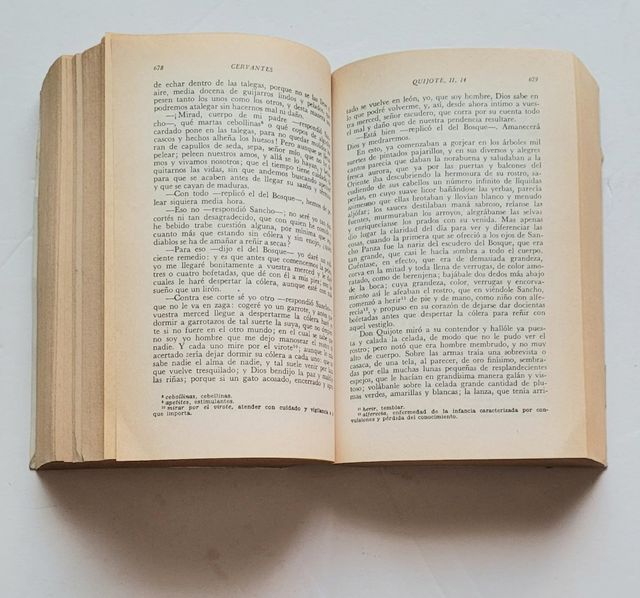 ✒️ 6 Grabados + libro Don Quijote