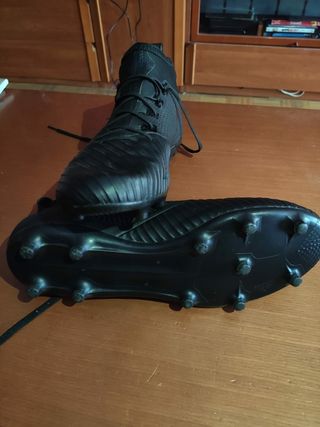 predator 17.2