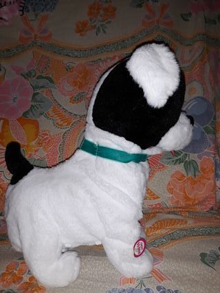 bowie perro interactivo