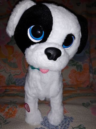 bowie perro interactivo