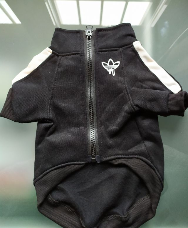 Babosa de mar Arena Sudán Chaqueta o Sudadera Adidas para perro de segunda mano por 19 € en Madrid en WALLAPOP Babosa de mar Arena Sudán Chaqueta o Sudadera Adidas para perro de segunda mano por 19 € en Madrid en WALLAPOP