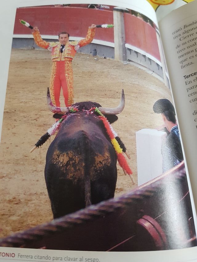 Libro Nuevo Los Toros