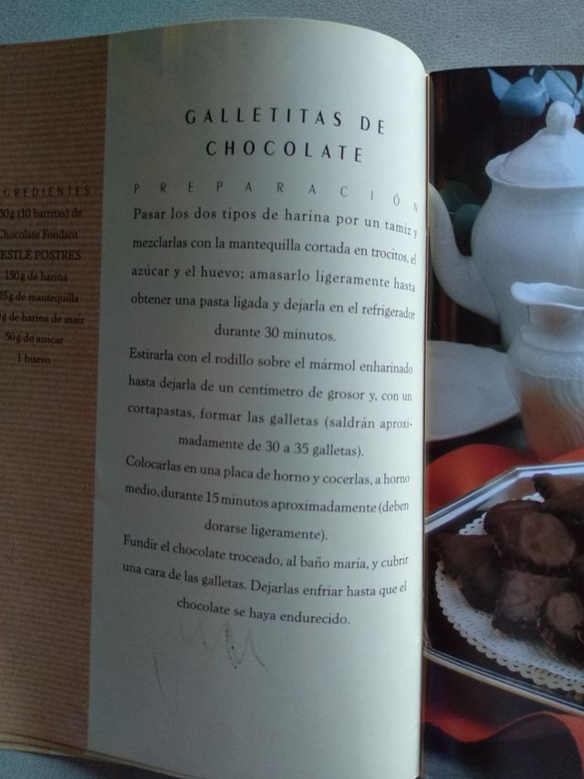 RECETAS CHOCOLATE. NESTLÉ. POSTRES.