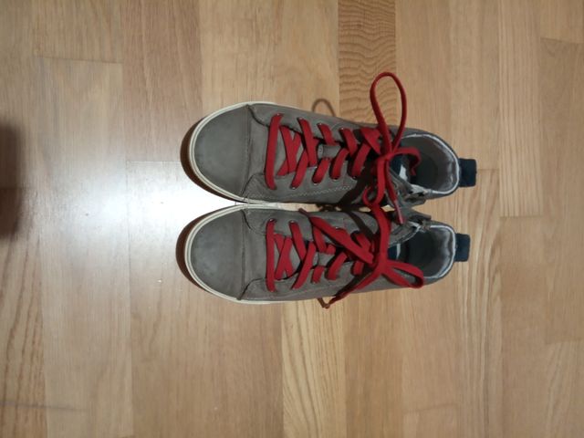 Zapatilla/botín Timberland