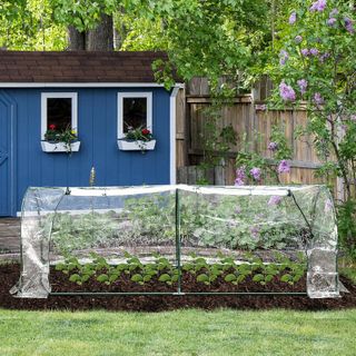 Invernadero Caseta 350x200x200cm Tubo Acero 6 Ventanas con Mosquitera Verde