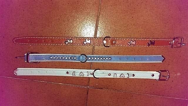 Correas para mascotas