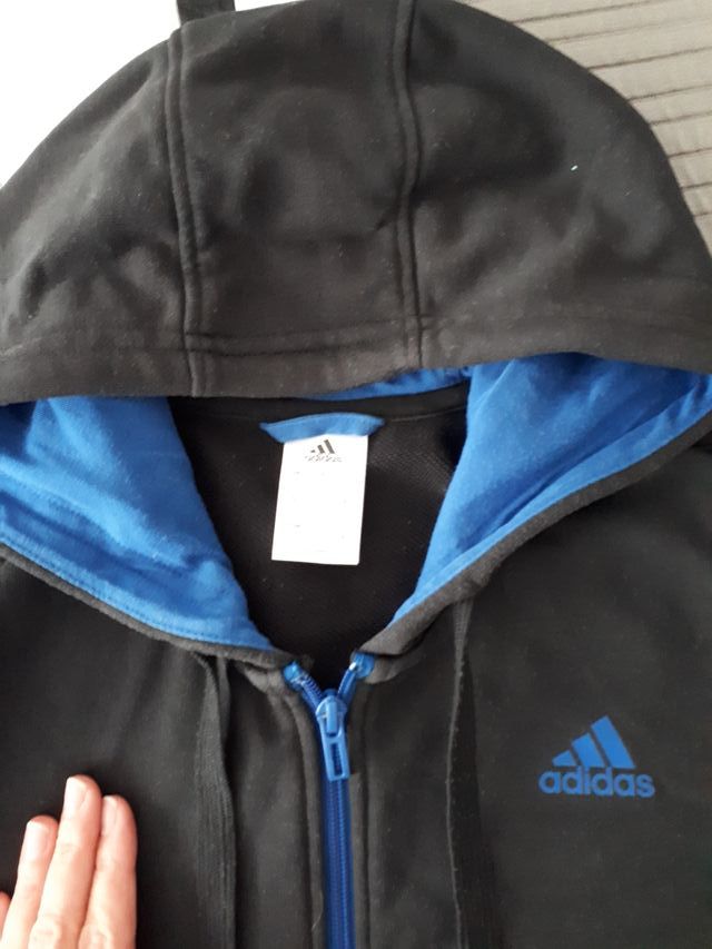 Elegante Shuraba Frase صنارة صيد إصرار مدرس sudadera con cremallera adidas hombre - psidiagnosticins.com Elegante Shuraba Frase صنارة صيد إصرار مدرس sudadera con cremallera adidas hombre - psidiagnosticins.com