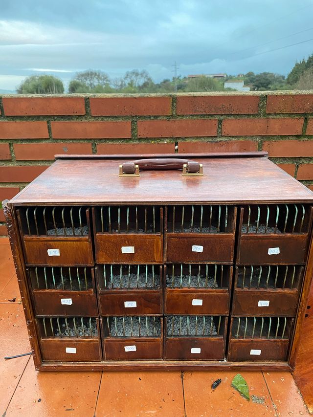 Transportin para pajaros