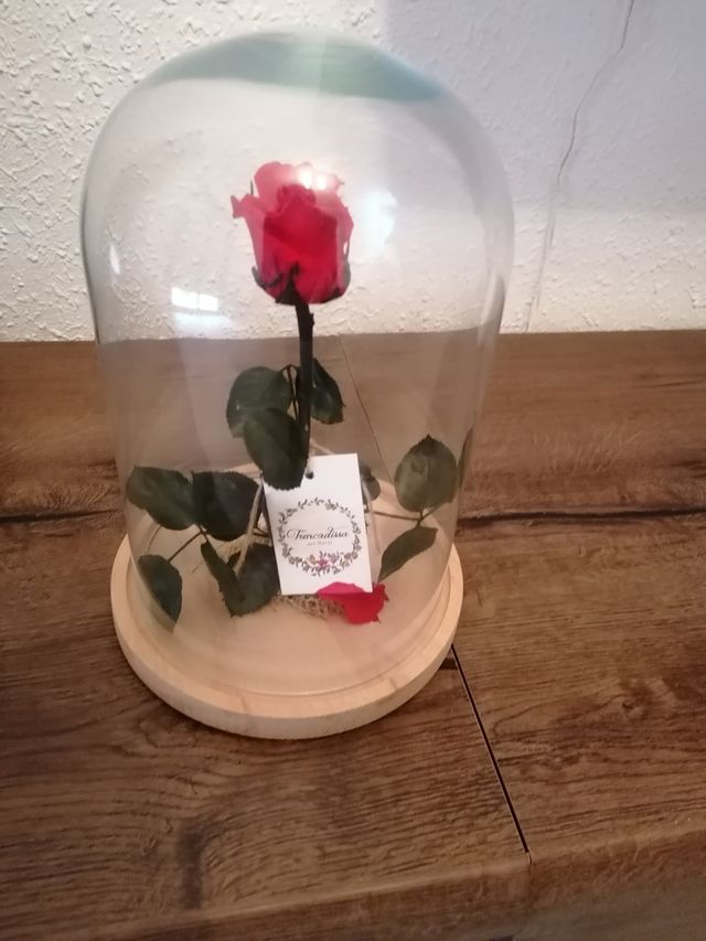 Flor preservada Bella y Bestia