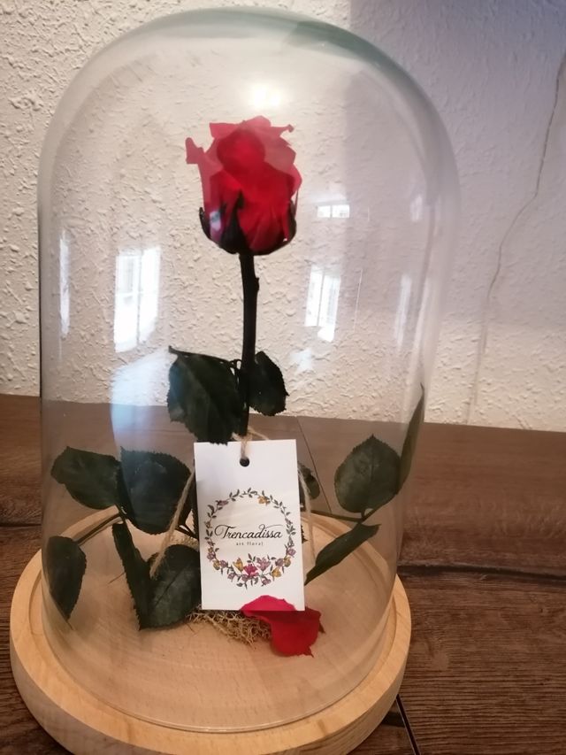 Flor preservada Bella y Bestia