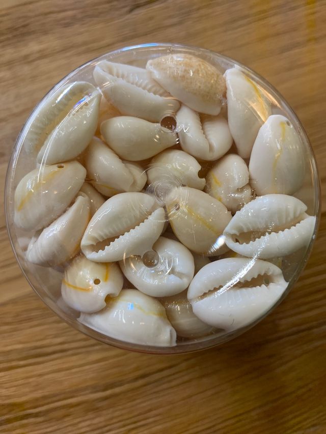 Abalorios concha natural