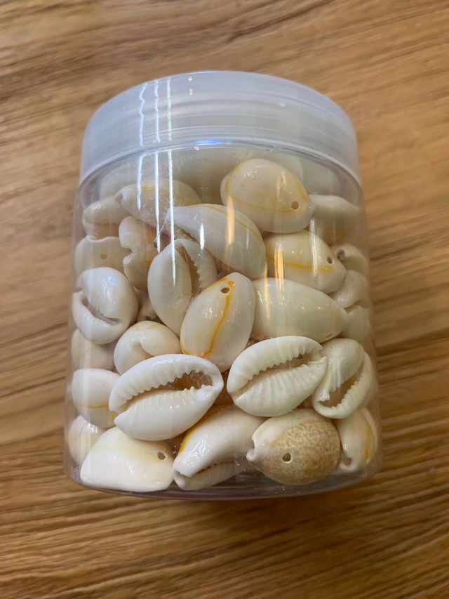 Abalorios concha natural