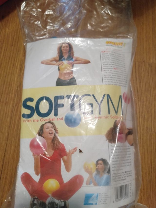 pelota de gimnasia