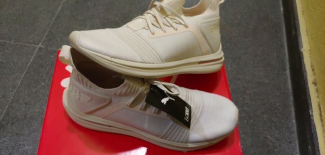PUMA Ignite limitless SR evoKnit