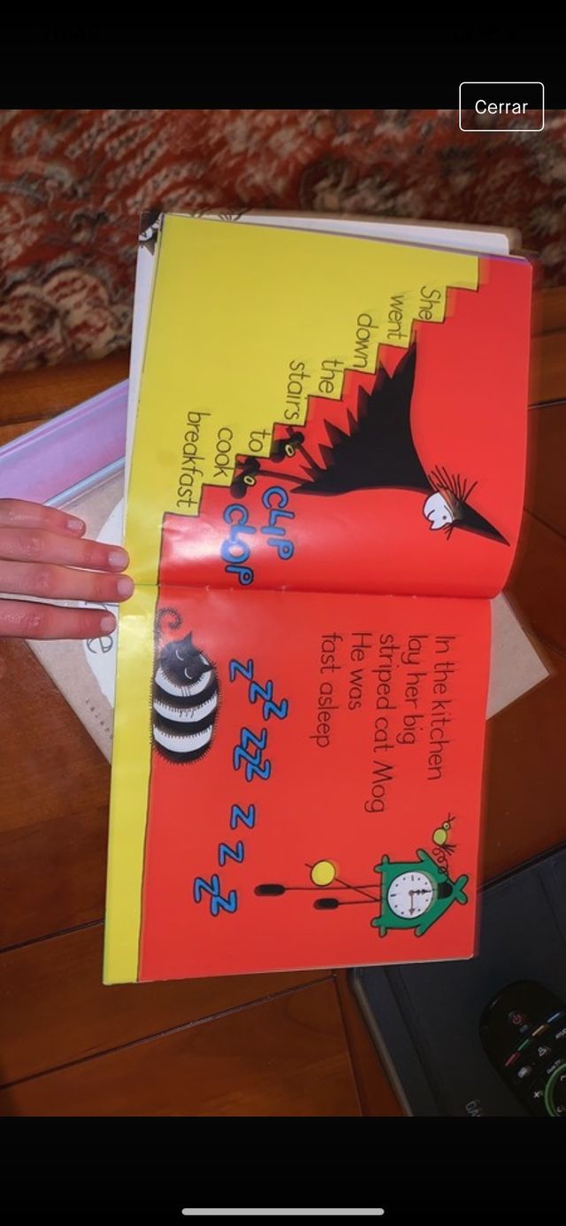 Libro en inglés infantil