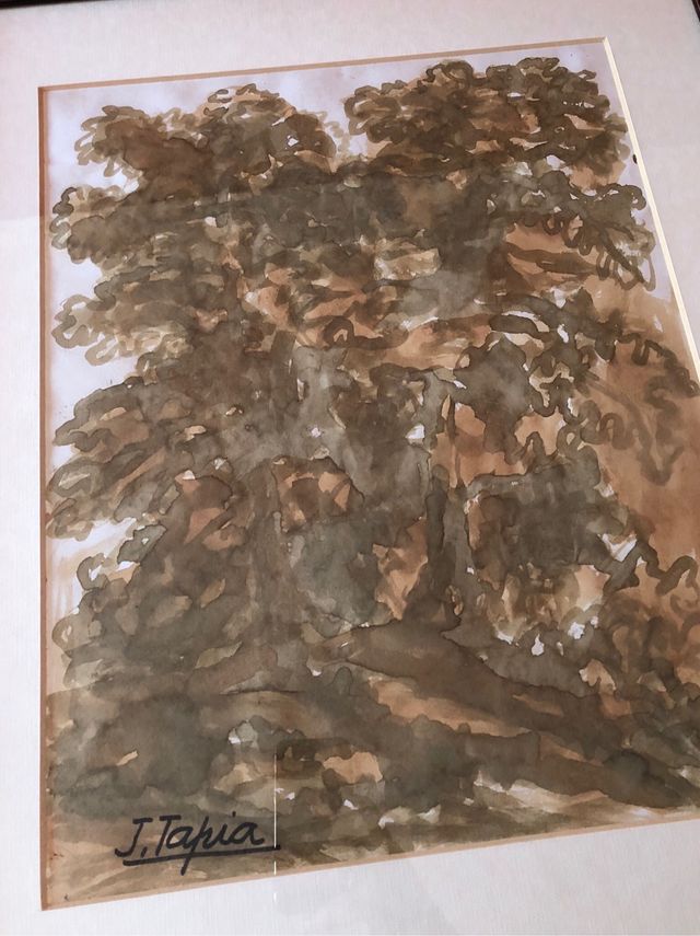 Colecciòn 9 cuadros J. Tapia