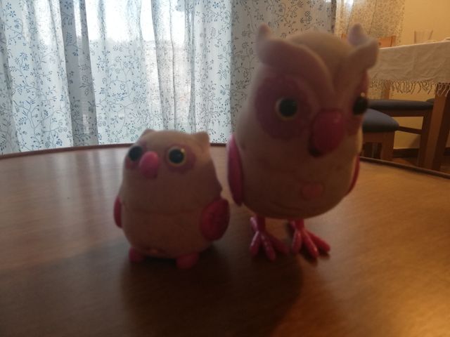 gufo con allevamento piccoli animali vivi