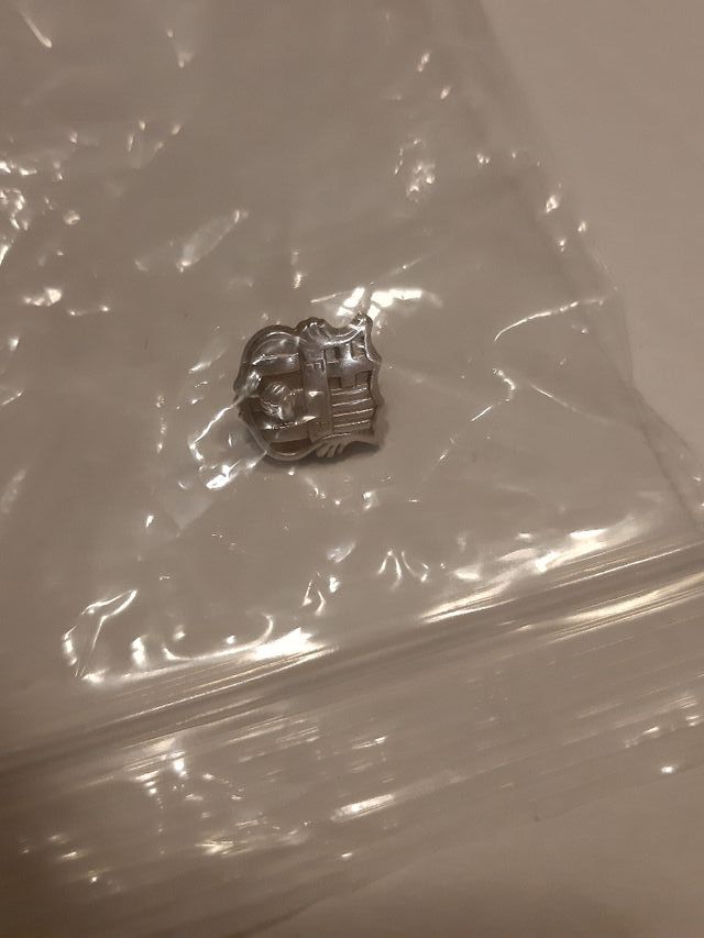 pin antiguo del Barça de Plata
