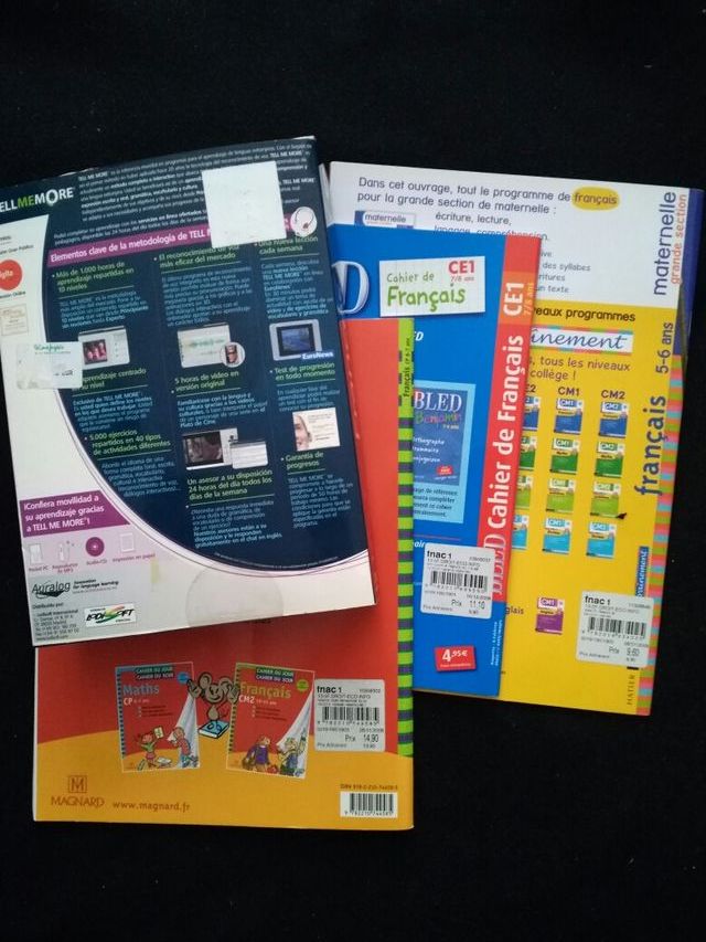 CURSO DE FRANCES INTERACTIVO