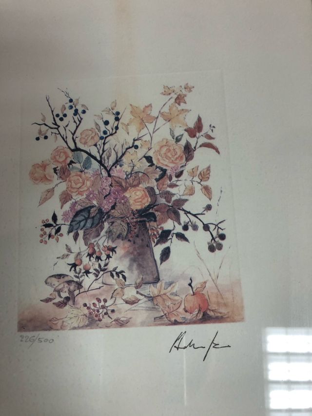 Colección de grabados