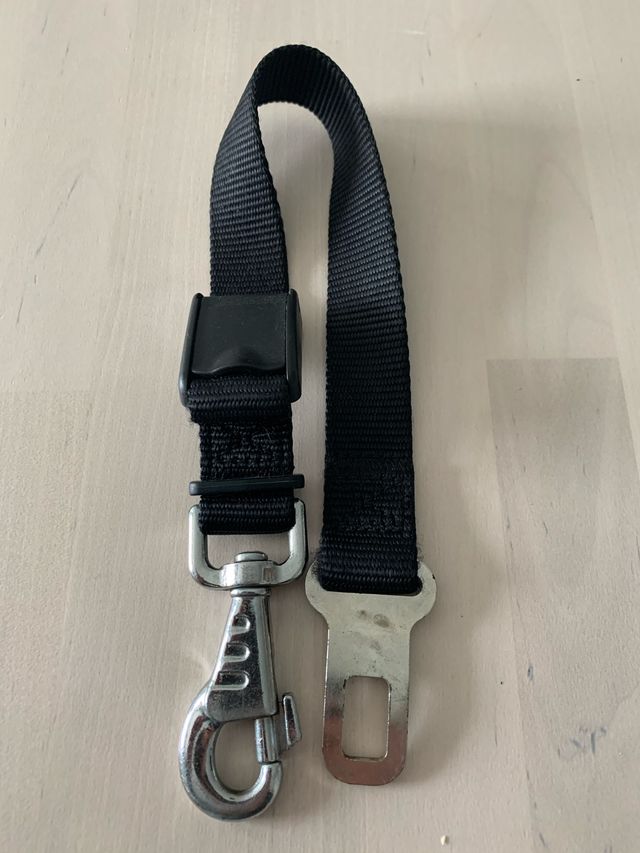 Cinturón para perro OBLIGATORIO