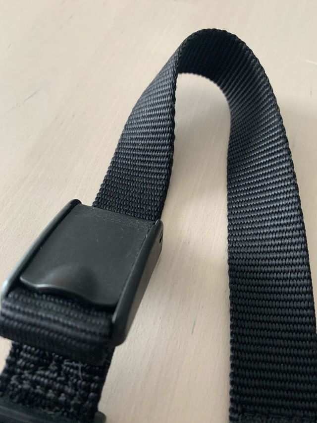 Cinturón para perro OBLIGATORIO