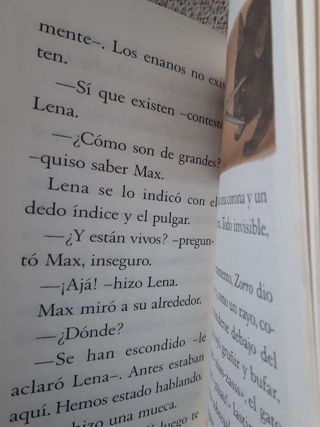 libro el secreto de lena