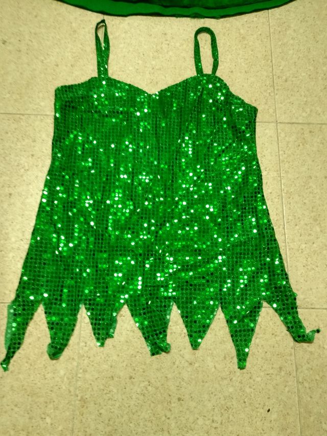 Disfraz Carnaval. Campanilla